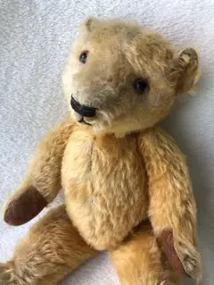 Item thumbnail for item 2bef143d-0e37-4b79-acb4-5d852bfb7115