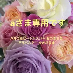 aさま専用 ですバンブルビージャスパー　おつきさま　アラバスター ゆきだるま