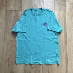 THE NORTH FACE アクアブルー Tシャツ L