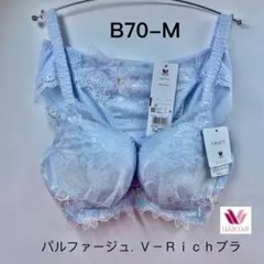 2025年最新】ワコールパルファージュVリッチブラの人気アイテム - メルカリ