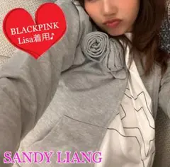 お値下げ可❤️BLACKPINK LISA着用【SANDY LIANG】パーカーのサムネイル