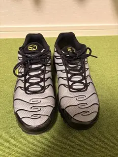 Nike Air Max Plus 28.5cm