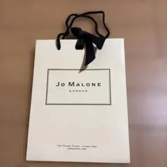 Item thumbnail for item 2b702923-3d22-486e-bb79-4bbdeb64ca8c