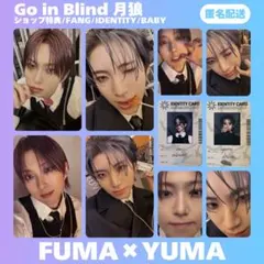 &TEAM FUMA YUMA 月狼 BABY トレカ まとめ売り 匿名配送