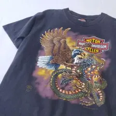 希少 Hanes ハーレーダビッドソン ブルーサンダー ドラゴン USA製90s 