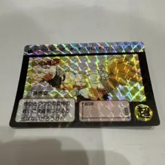 カードダス ドラゴンボールZ 本弾 No.253超戦士たち 両面プリズム