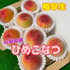 hm57 山梨県産　極早生　ひめこなつ　桃　箱込み800g