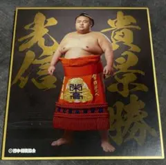 大相撲★ 元大関★ 貴景勝関★ 力色紙★ レア品★