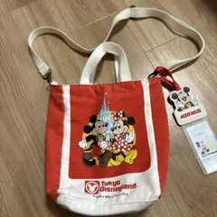 Tokyo Disneyland ミッキー ミニー バッグ