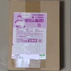 新品未使用シュリンク付きテラスタルフェスEX 6箱 2025年最新】テラスタルフェス box 未開封の人気アイテム - メルカリ