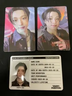 SEVENTEEN HAPPYBURSTDAY トレカ ディノ