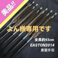 弓道 矢 EASTON 2015 ジュラ矢 黒鷲 94cm 6本セット - メルカリ