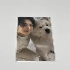 TWS Last Bell トレカ　ヨンジェ