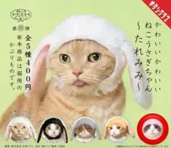 ねこうさぎちゃん ガチャガチャ