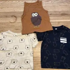 子供用Tシャツ3点セット
