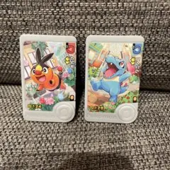 ポケモンフレンダ フレンダ パラレルアートピック ポカブ ワニノコ