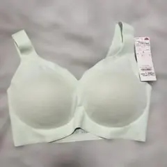 Item thumbnail for item a4007df0-3d0d-4db9-9a44-fe607db7fcf7