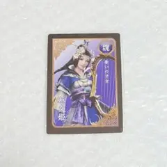 真・三國無双7 無双OROCHI3 英雄カード 孫権 - メルカリ