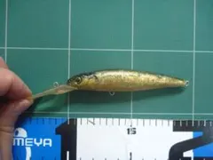 2026年最新】ライブXリベンジの人気アイテム - メルカリ