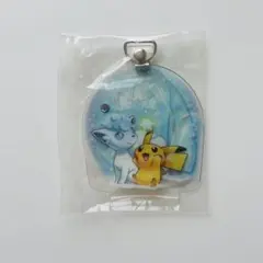 2026年最新】ポケモンセンターサッポロ限定の人気アイテム - メルカリ