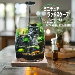 水を入れるだけですぐに始められる ミニチュアランドスケープ