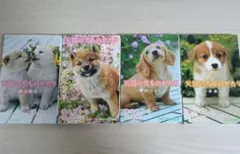 Item thumbnail for item 59cf2e14-2f0e-423f-8746-2dd3606e7878