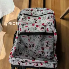 ミニーちゃん、キャリーケース