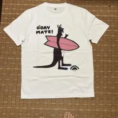 Item thumbnail for item 657cb77a-10b5-4595-b2a8-be70a6e7a737