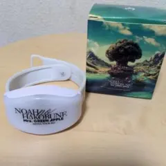 Item thumbnail for item 0fd70805-fd90-4c8c-9480-6929eb8df025