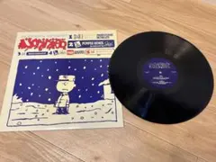 2026年最新】punpee レコードの人気アイテム - メルカリ
