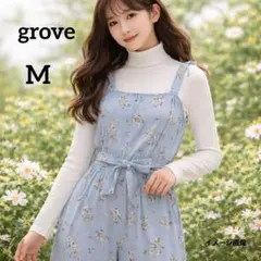 Item thumbnail for item e3066889-e316-4e28-a558-f5f4063afbff