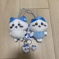 ハチワレ 4点セット