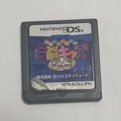右脳キッズDS ニンテンドーDS