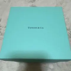 Tiffany & Co. ガラス製 小物入れ 新品のサムネイル