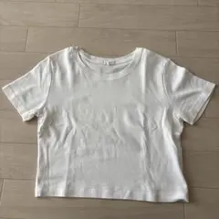GU 半袖Tシャツ ホワイト 綿100%