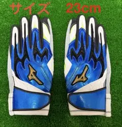 【直筆サイン】角田裕毅 2024年 レプリカレーシンググローブ ／ VCARB 直筆サイン】角田裕毅 2024年 レプリカレーシンググローブ ／ VCARB