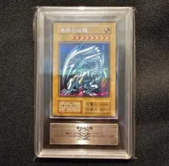 2025年最新】シクブル psa10の人気アイテム - メルカリ