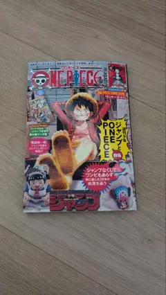 ONE PIECE magazine ワンピース　マガジン　カードなし