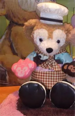 ダッフィー☆バレンタイン限定 ディズニーシー