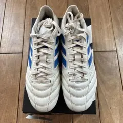 コパアイコン2pro HG 25センチ