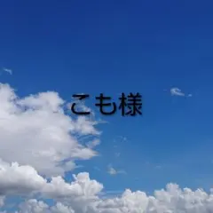 こも様　ブローチ2点