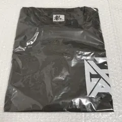 Item thumbnail for item 8a4c11af-11bf-4231-bbb0-18049182bd8f