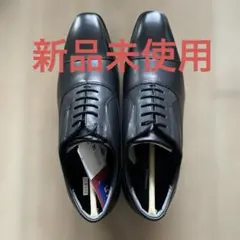 Item thumbnail for item d3610dd8-31cc-4405-947f-e1d5a0cabc8f