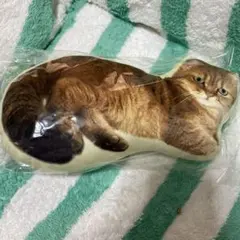 Paul & JOE リアル猫クッション 約30cm