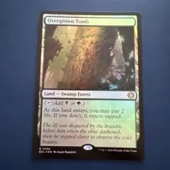 2026年最新】草むした墓 foilの人気アイテム - メルカリ