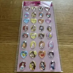 正規品　新品未開封！Disney プリンセス ストーンシール