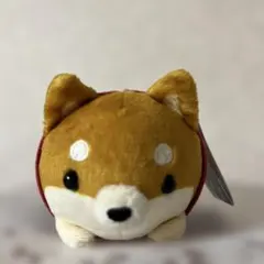 奈良限定 しかにゃん もちふわ！ころころにゃんこ エールワールド