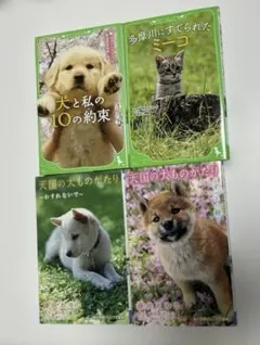犬と私の10の約束　多摩川にすてられたミーコ　天国犬ものがたり　4冊セット