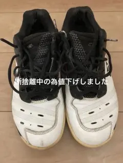 YONEX バドミントンシューズ SHB-01LTD