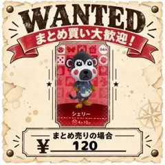 シェリー　amiibo あつ森　アミーボカード